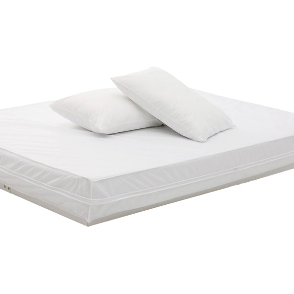 White Noise Hypoallergenic Zippered Mattress Cover & Reviews Wayfair